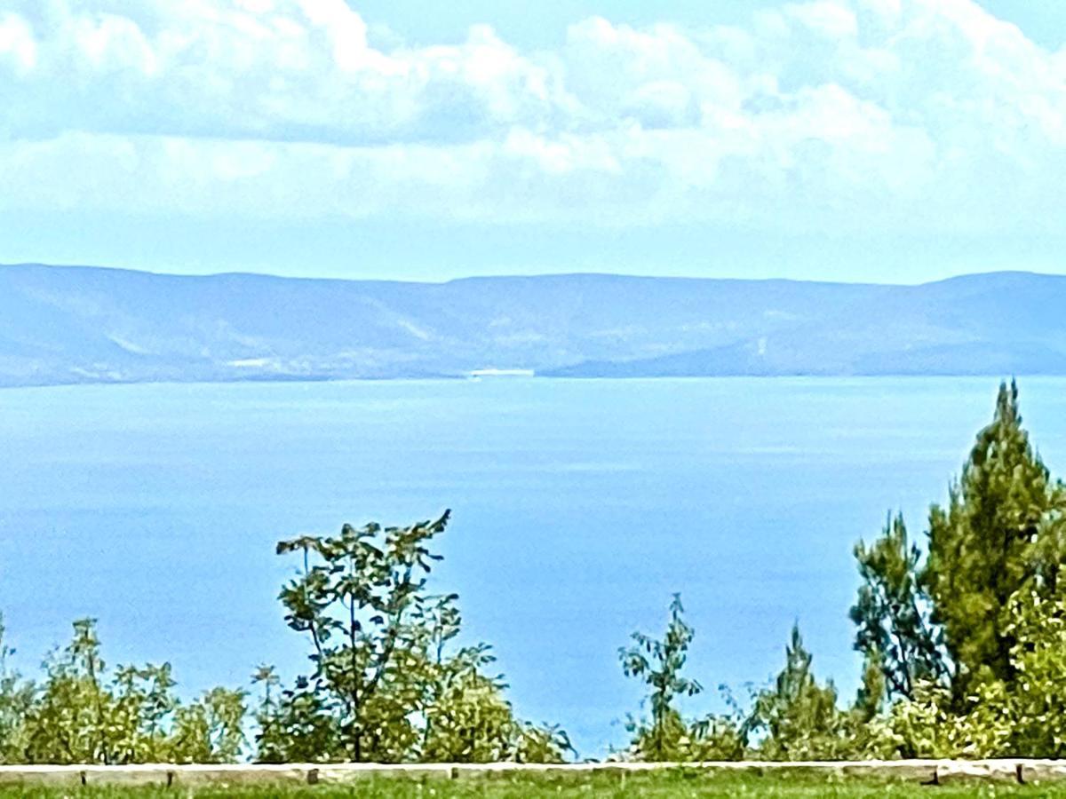 Luxury Panorama Vila With Amazing Seaview In Gondolici 7 Km From Rabac Labin  Eksteriør bilde