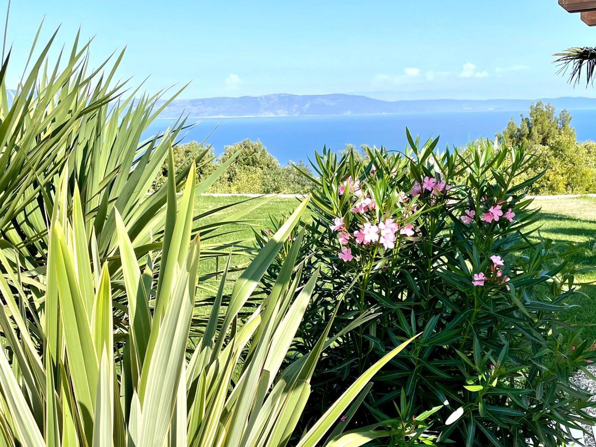 Luxury Panorama Vila With Amazing Seaview In Gondolici 7 Km From Rabac Labin  Eksteriør bilde